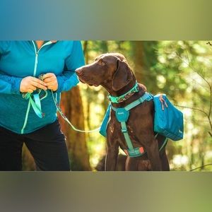 Dog day hiking back pack